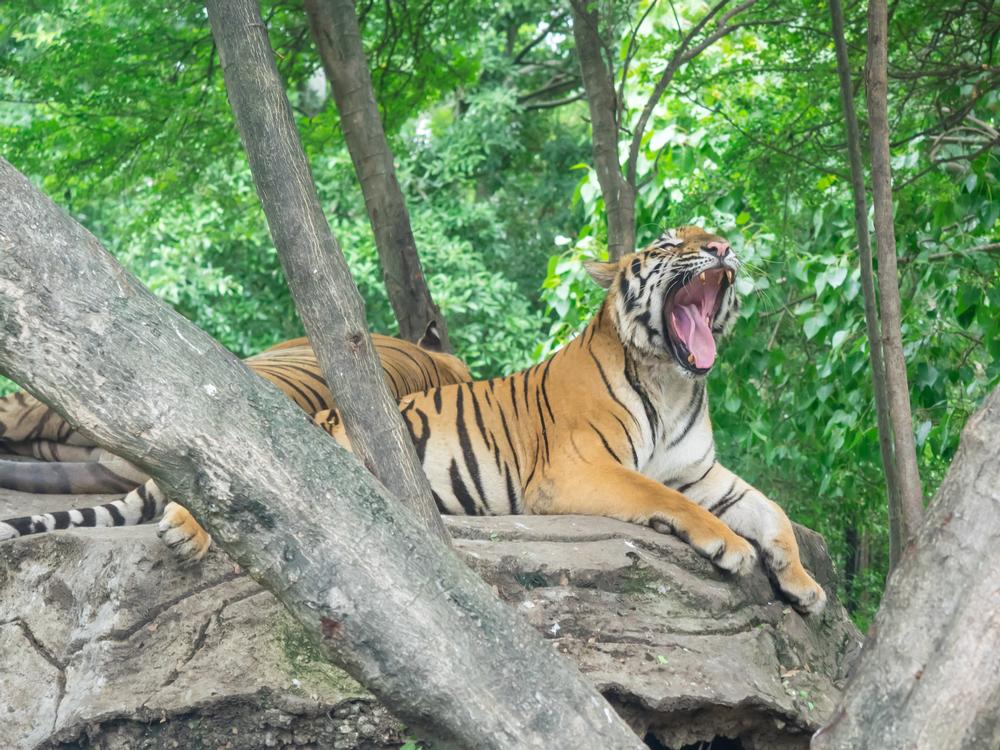See exotic animals, enjoy family-friendly attractions and seasonal events.