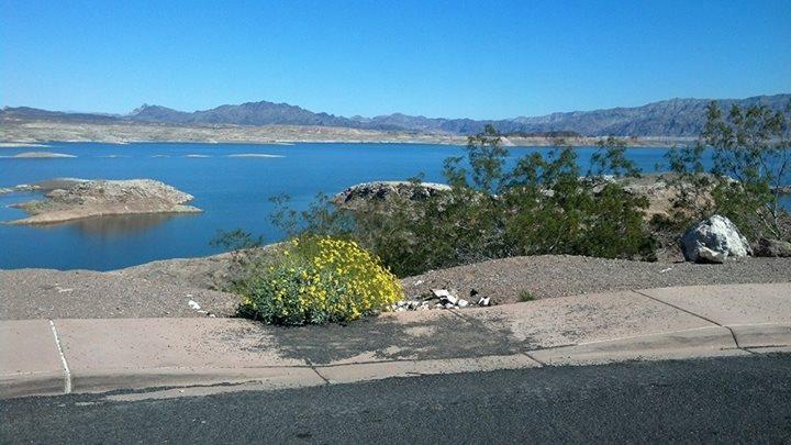 Explore scenic desert landscapes and enjoy an invigorating outdoor adventure.