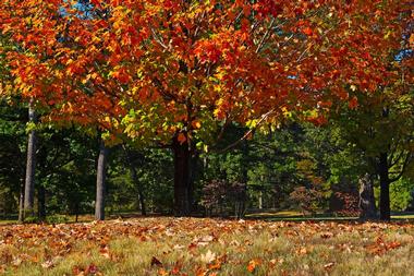 Kanawha State Forest