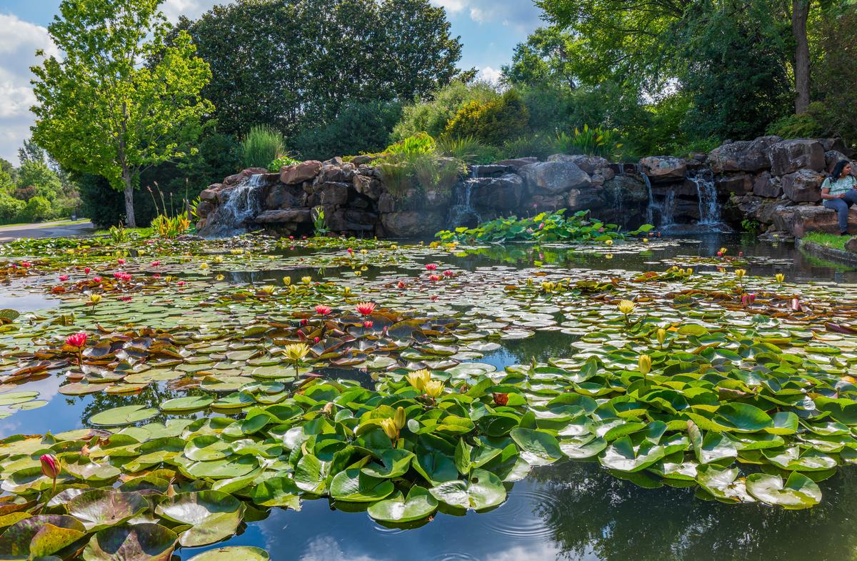 Discovering lush greenery at The Dallas Arboretum and Botanical Garden