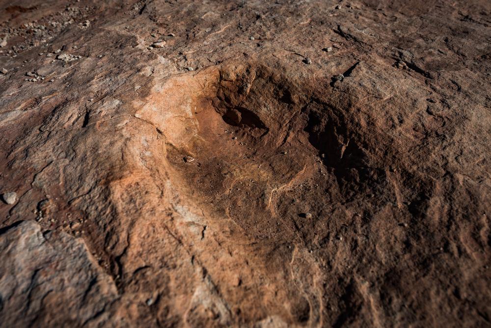 Mill Canyon Dinosaur Trail - Moab, Utah