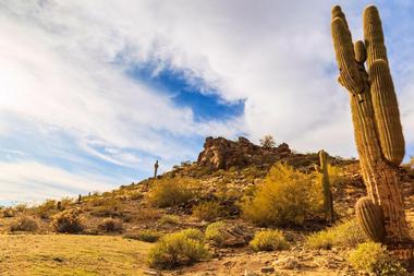 South Mountain Park Preserve | Things to Do in Phoenix, Arizona: Outdoor Adventures, Dining and Arts