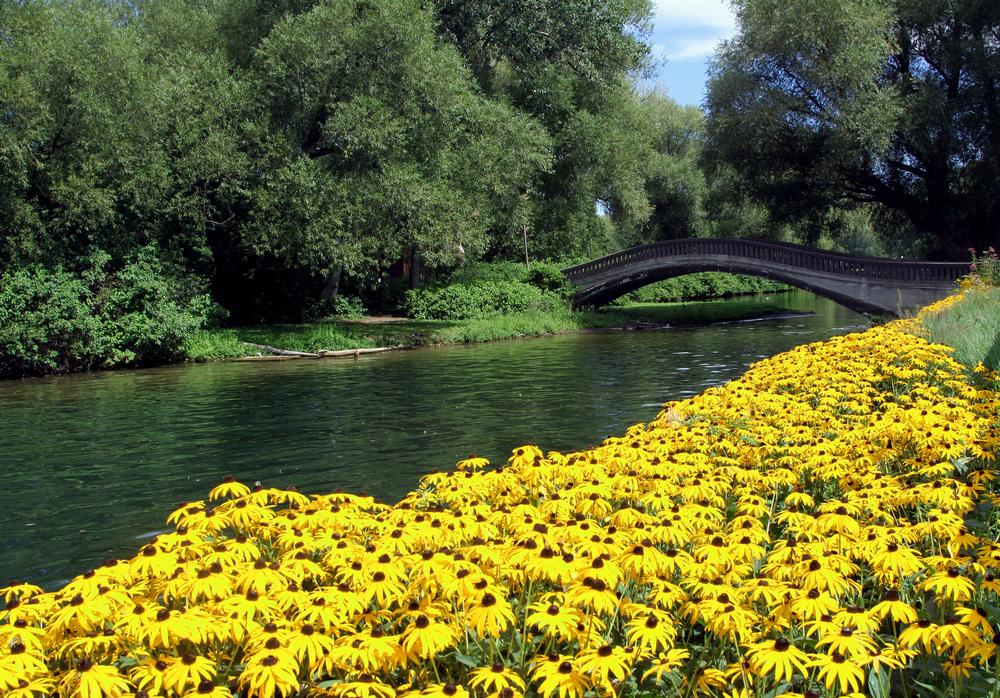 Bloom with Inspiration at Toronto Botanical Garden