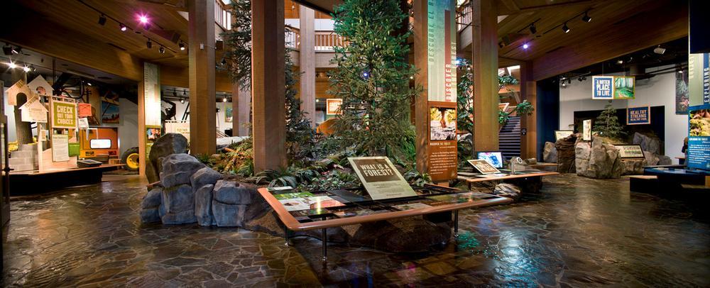 Explore Global Forests and Conservation Efforts at the World Forestry Center