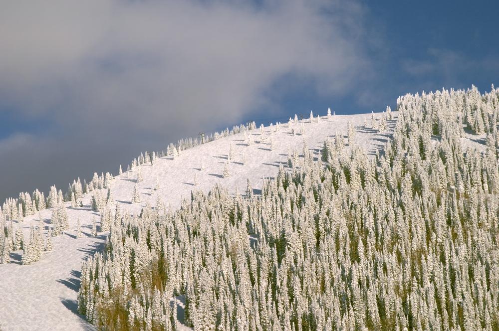 Ski or Hike at Steamboat Ski Resort