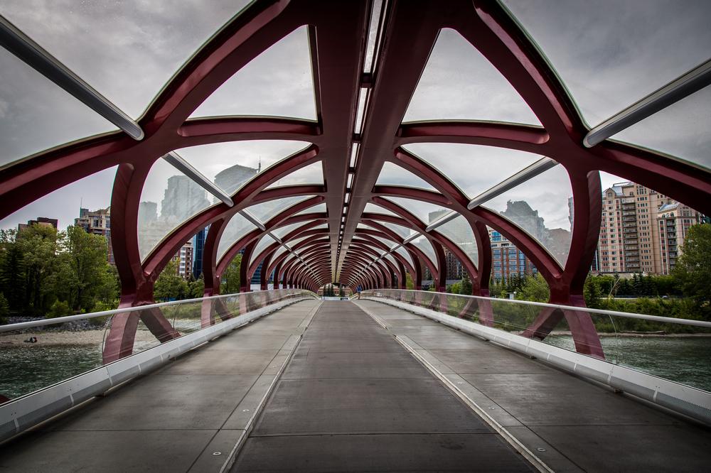 Bike or Stroll Scenic Routes on the Calgary Pathway System