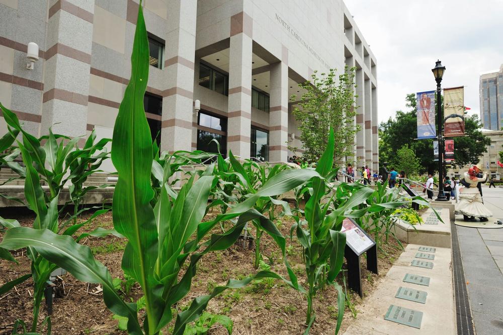 If Revolutionary Stories and Southern Heritage Inspire You, Explore the Museum of History