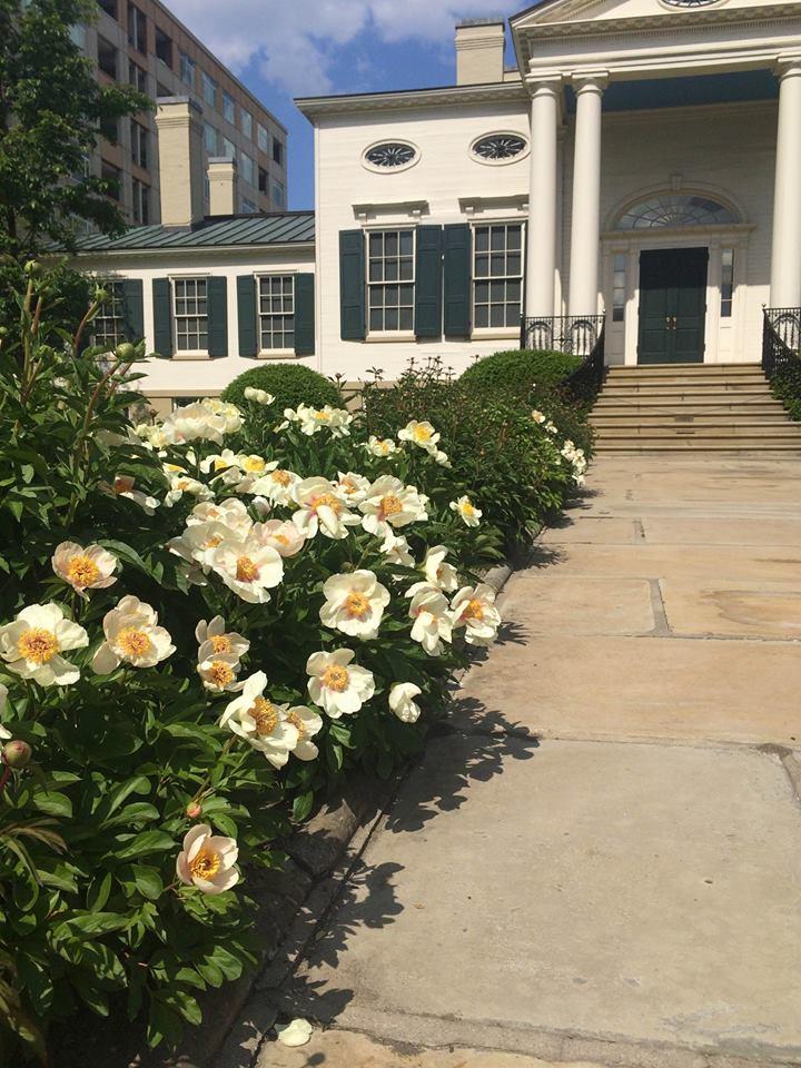 Discover historic treasures, admire fine art in an elegant setting.