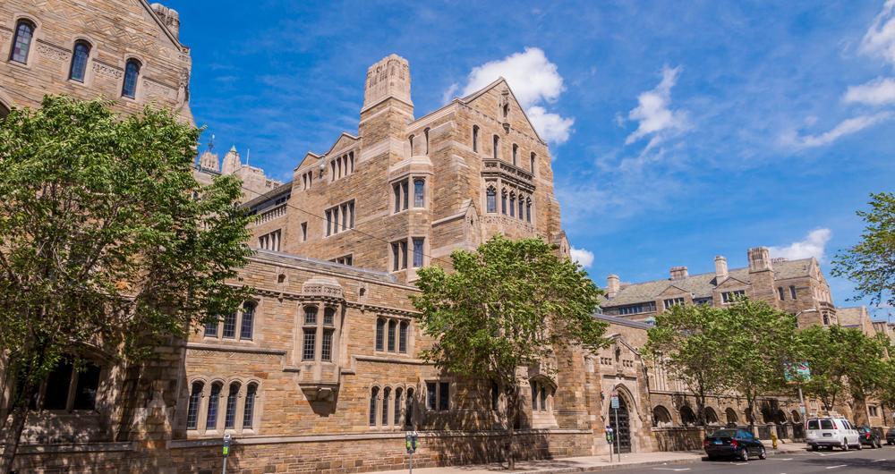 New Haven Art & Afternoon Warmth