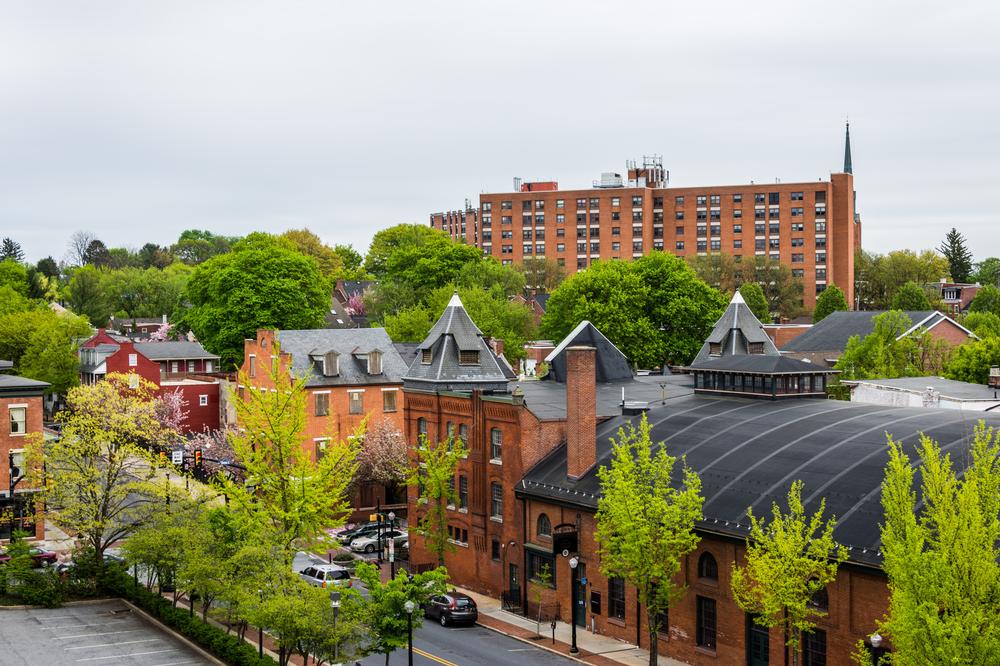 Browse local goods and savor fresh bites during a lively weekend visit.