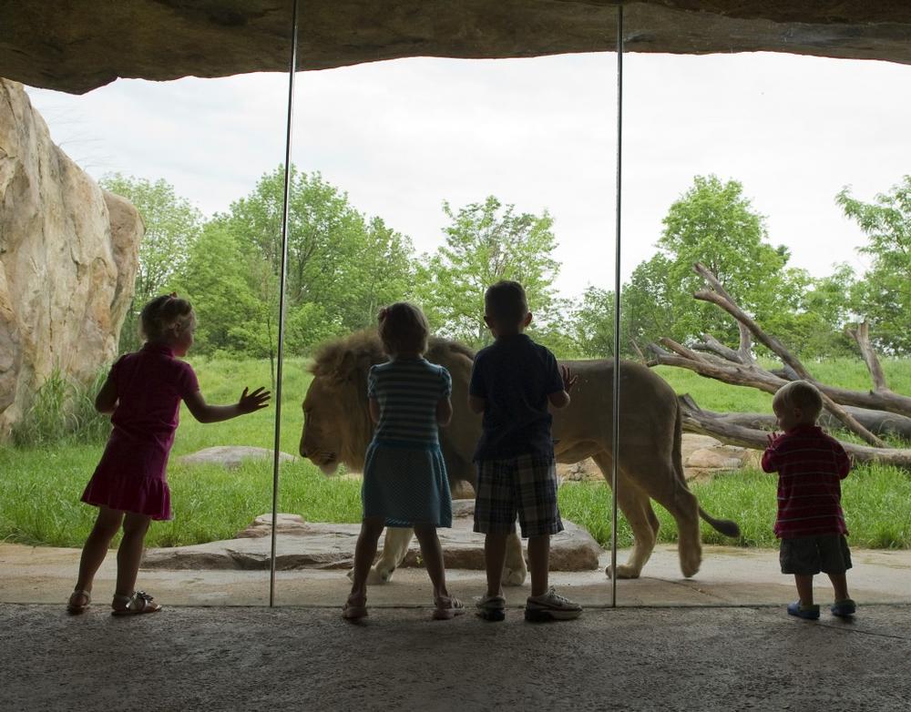 Visit wild animals and enjoy a fun family adventure.