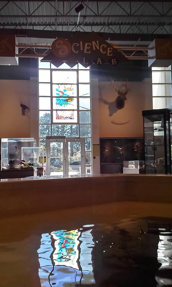 Explore Science and Nature at Kaleideum North