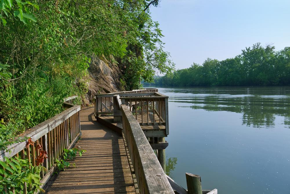 Hike, Paddle, and Explore the Outdoors at Ijams Nature Center