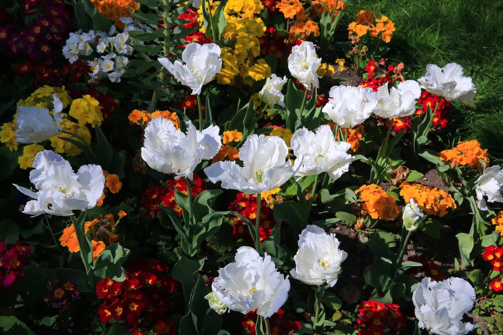 Stroll Through History at the Cleveland Cultural Gardens