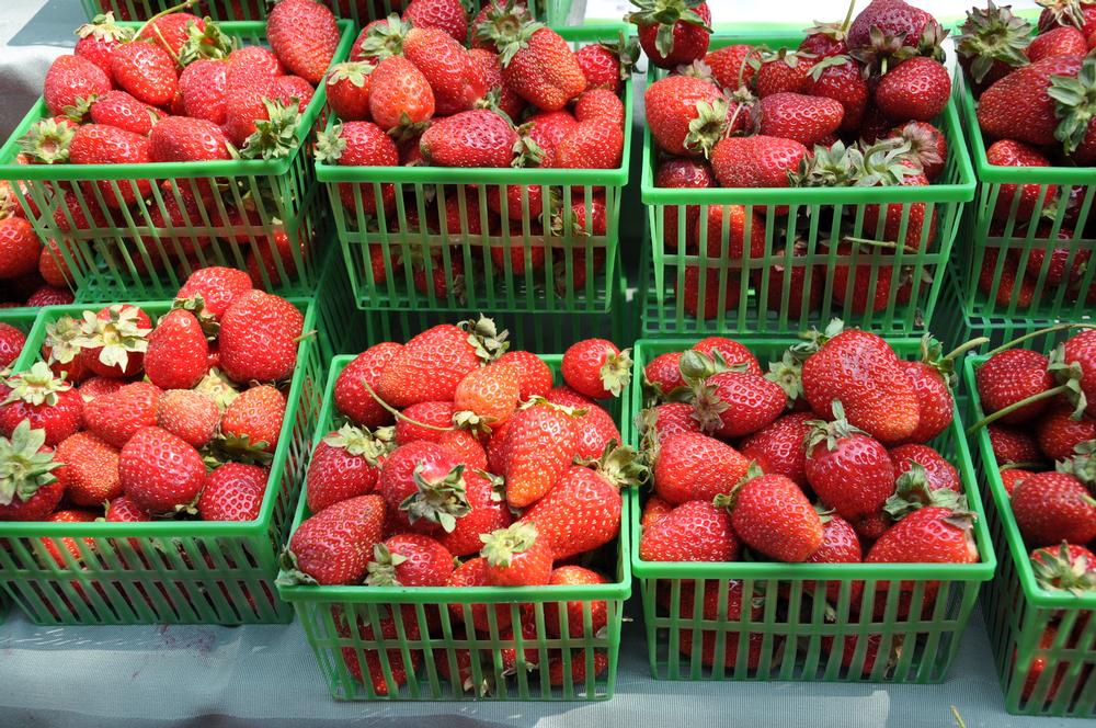 Taste Toronto’s Heart at St. Lawrence Market