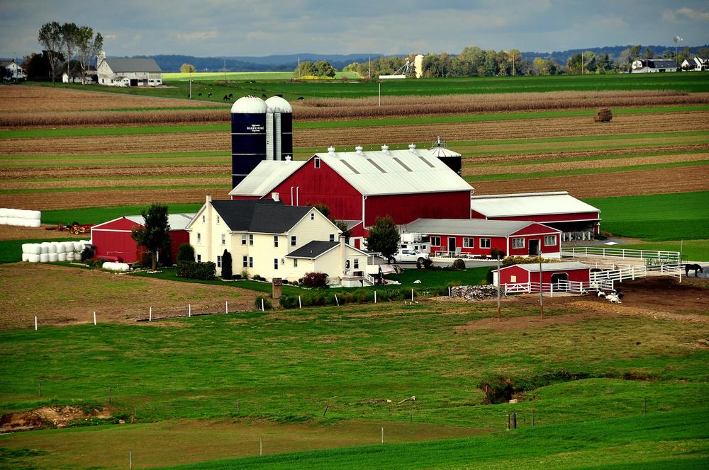 Tour the Amish Farm and House