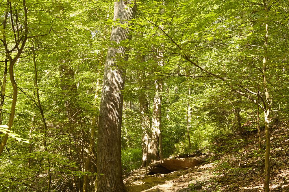Connect with Nature at Asbury Woods Nature Center