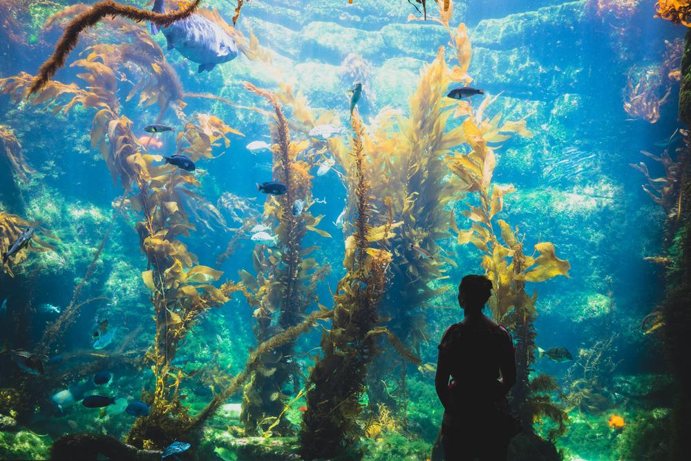 Dive Into Aquatic Adventures at the Greater Cleveland Aquarium
