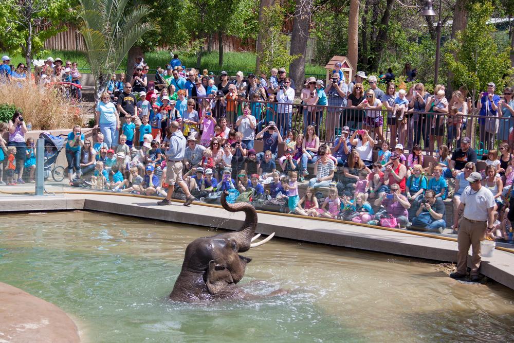 See wild animals and explore themed habitats on a fun family outing.