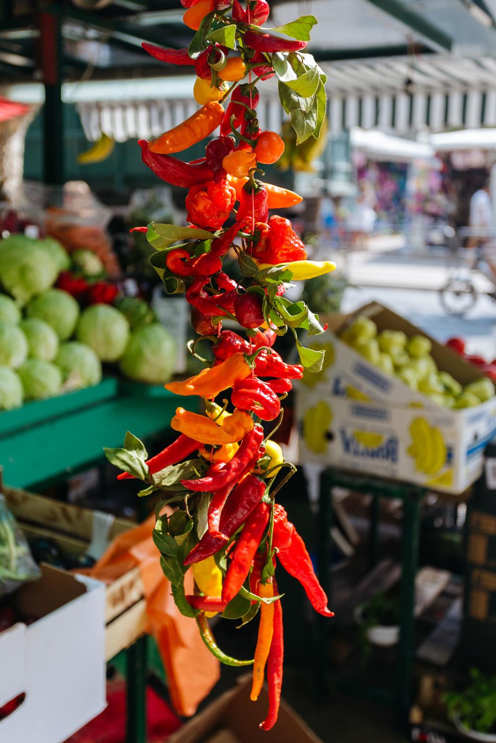 Stroll through the Santa Fe Farmer’s Market