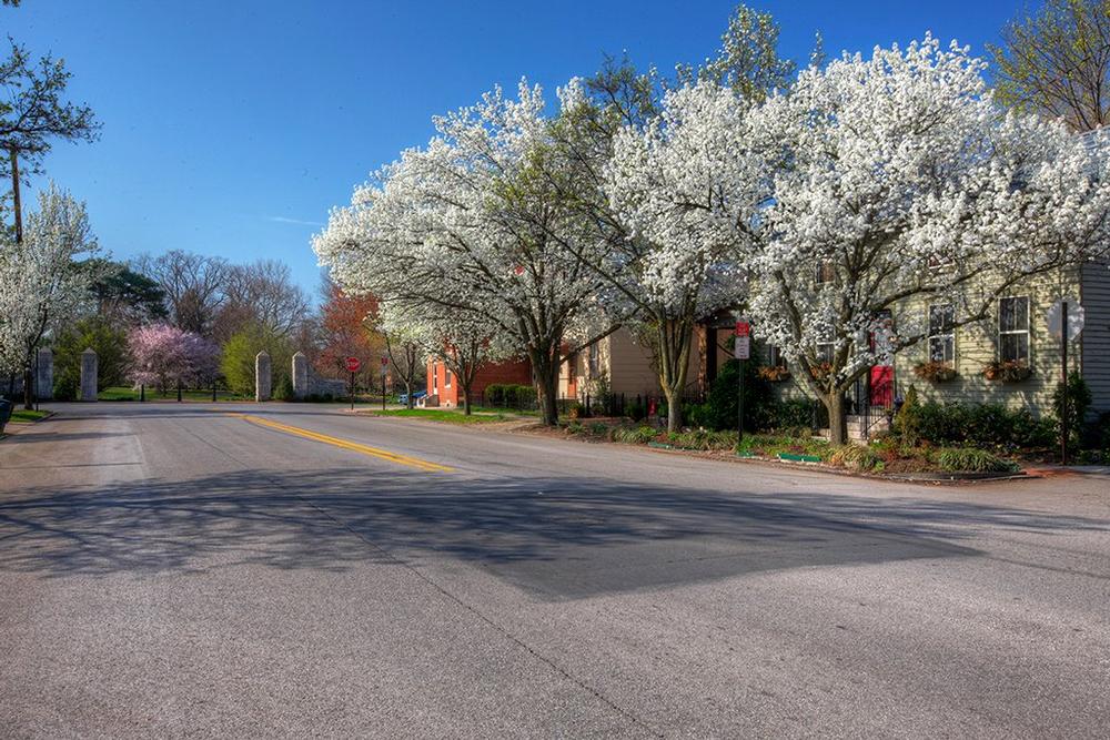 Stroll Brick Streets and Savor Historic Charm in German Village