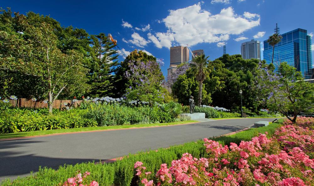 Wander Through Tranquility at the Royal Botanic Gardens Melbourne