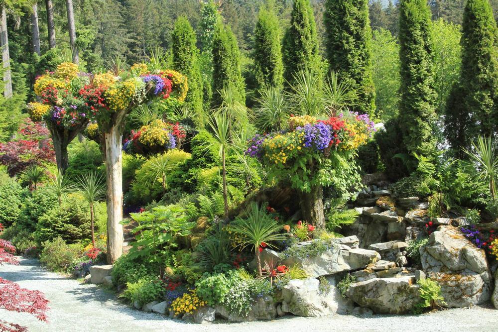 Explore the Sky Forest at Glacier Gardens Rainforest Adventure