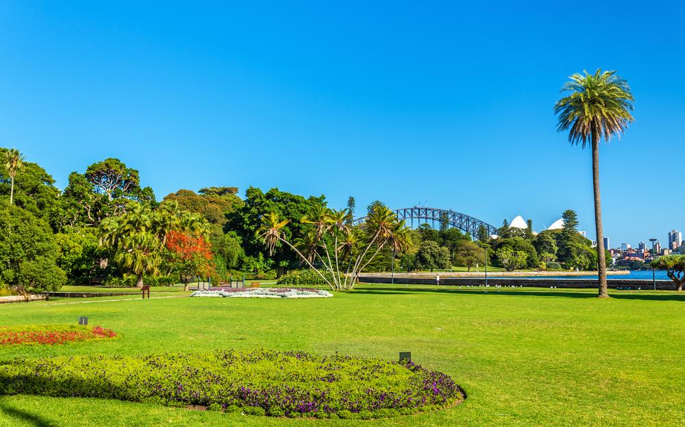 Wander Through Blooming Gardens and Harbor Views at the Royal Botanic Gardens