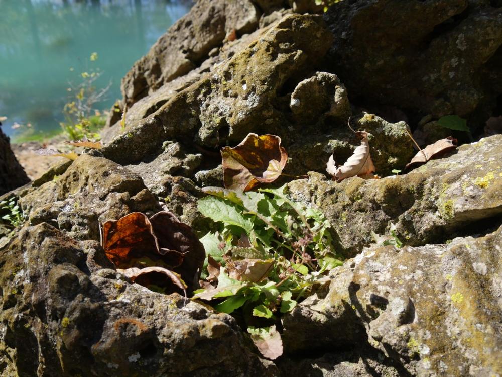 Marvel at Nature’s Sculptures at Pivot Rock and Natural Bridge