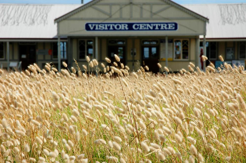 Start Your Journey at the Albany Heritage Area Visitors Center