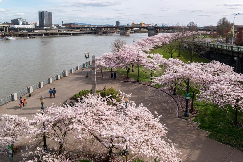 Stroll, Bike, and Relax Along Tom McCall Waterfront Park
