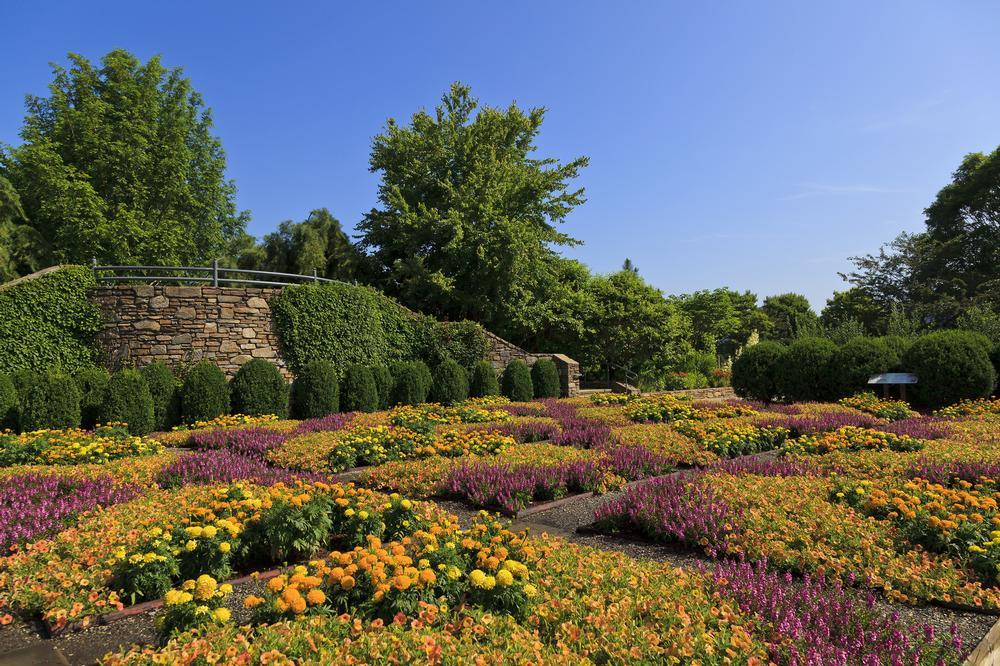 Stroll Through Blooming Beauty at the North Carolina Arboretum