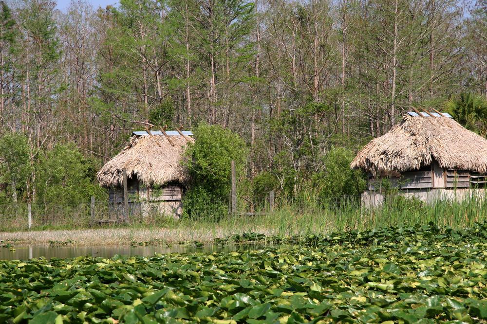 Go on an airboat ride and see wildlife during a wild family outing.