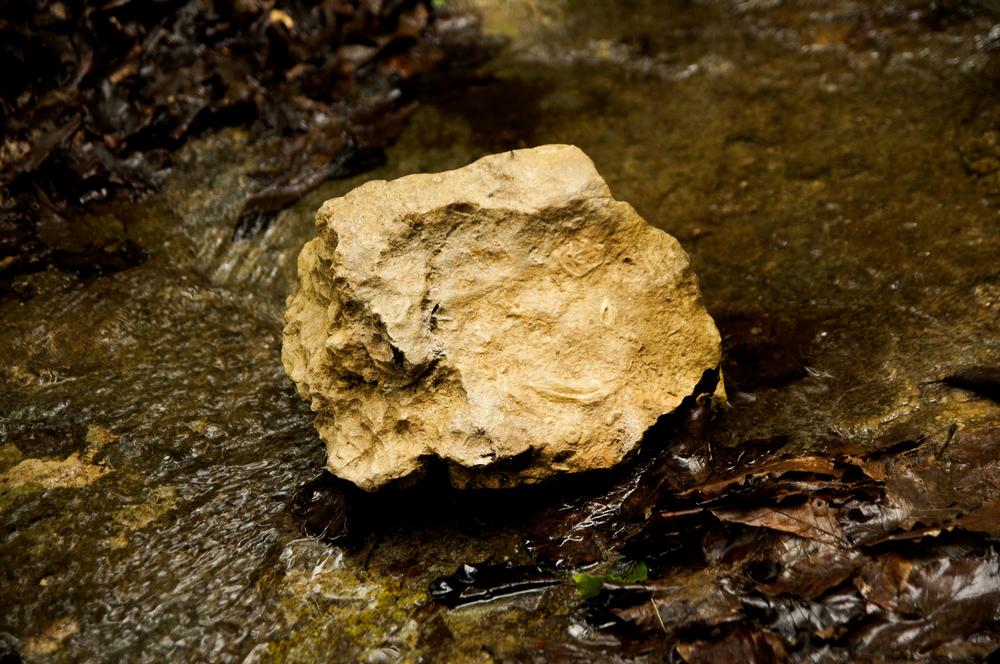 Hike, Ride, and Paddle Through Riverside State Park’s Wilderness