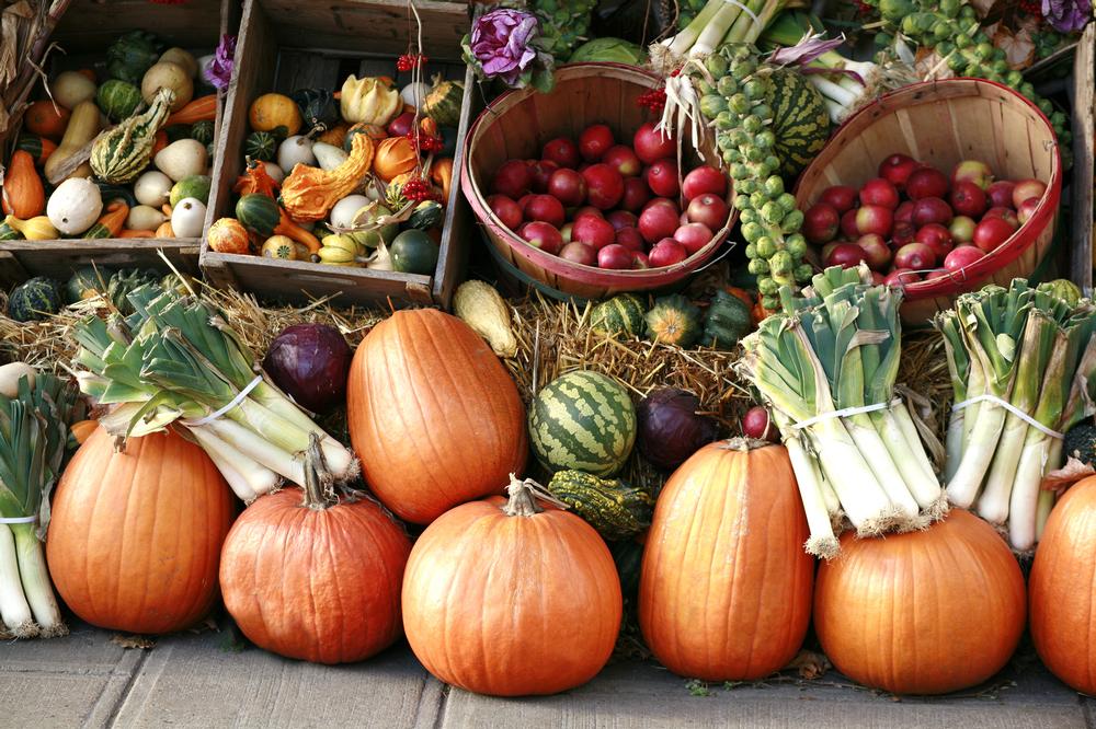 If You Love Fresh Finds, Then Shop the Portland Farmers Market
