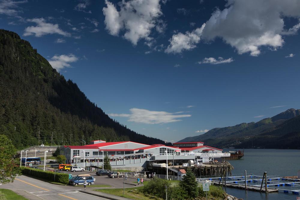 See the Salmon Run at DIPAC Macaulay Salmon Hatchery