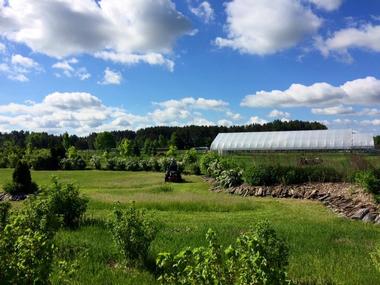 Light of Day Organic Farm and Tea Shop