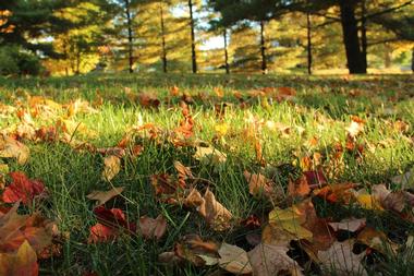 Traverse City State Park