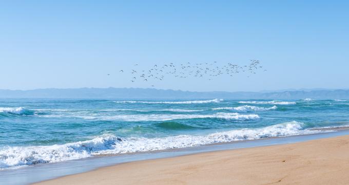 Family beach