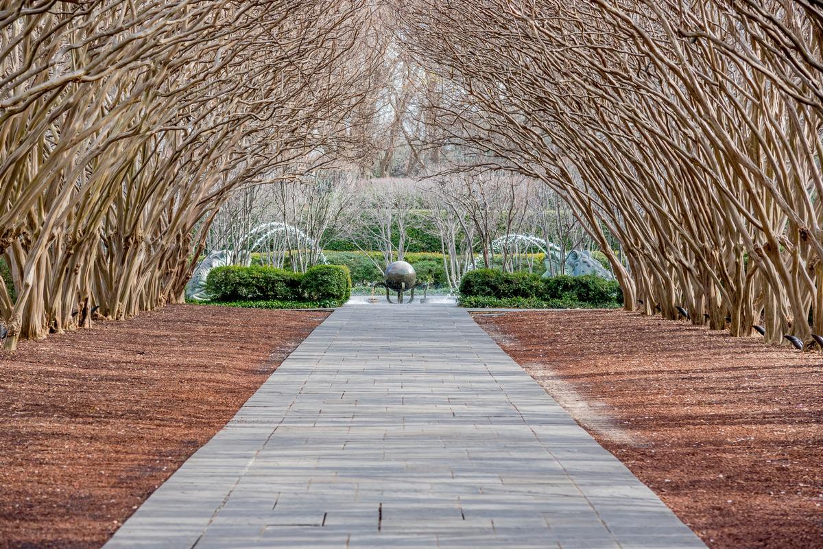 Dallas Arboretum in winter