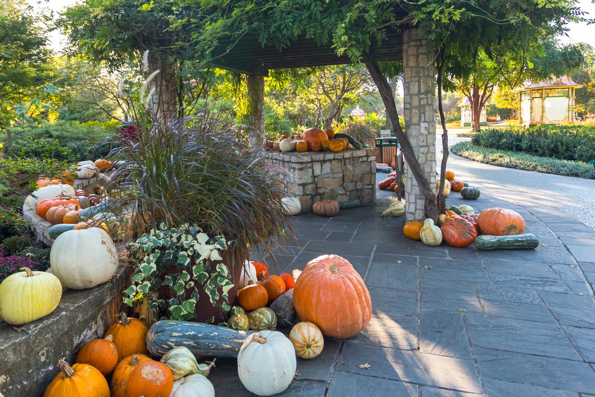 Harvest season at Dallas Arboretum