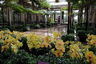 Pennsylvania - Longwood Gardens