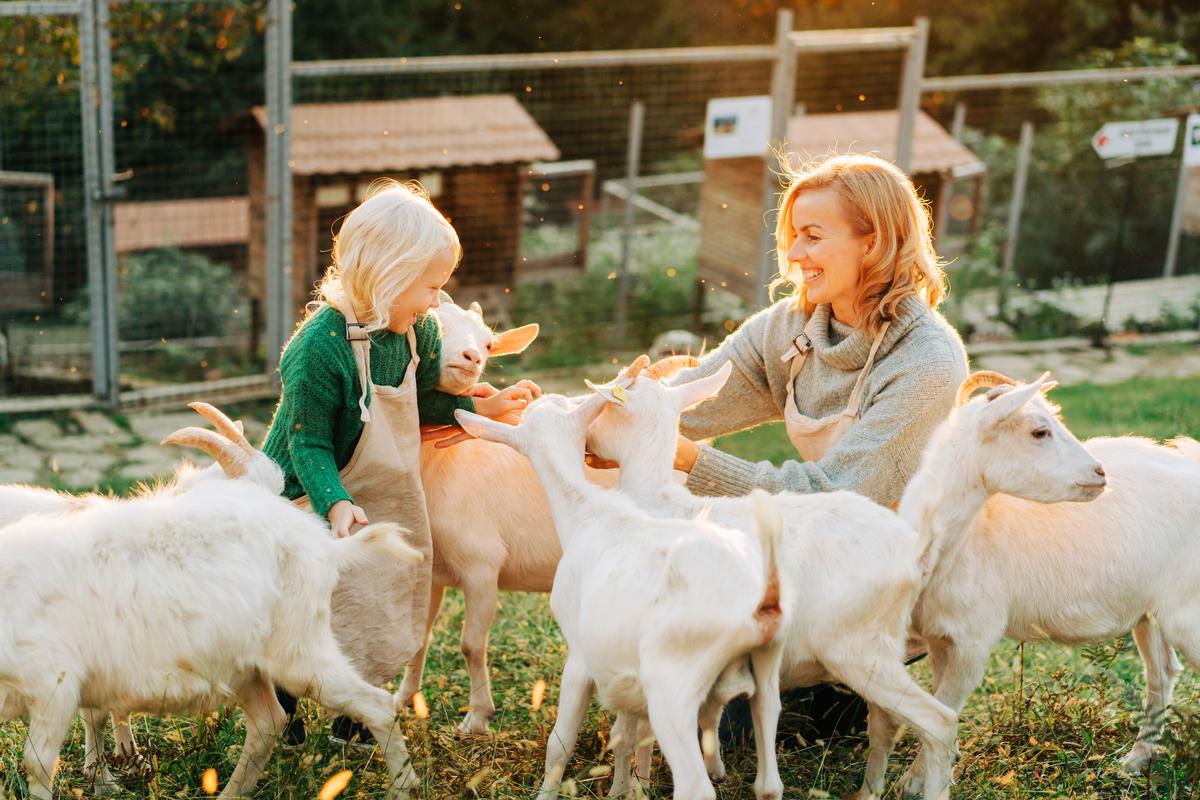 Disconnect from screens and enjoy an affordable, unusual weekend on a spring farm trip.