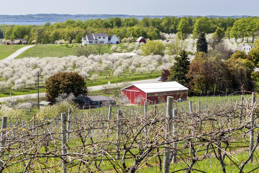 Make Sweet Memories in Traverse City, Michigan
