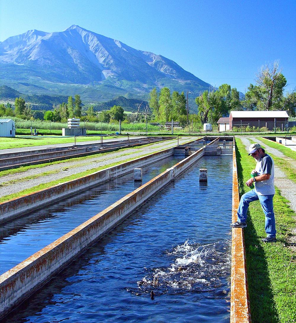 Explore the Rockies in Carbondale, Colorado