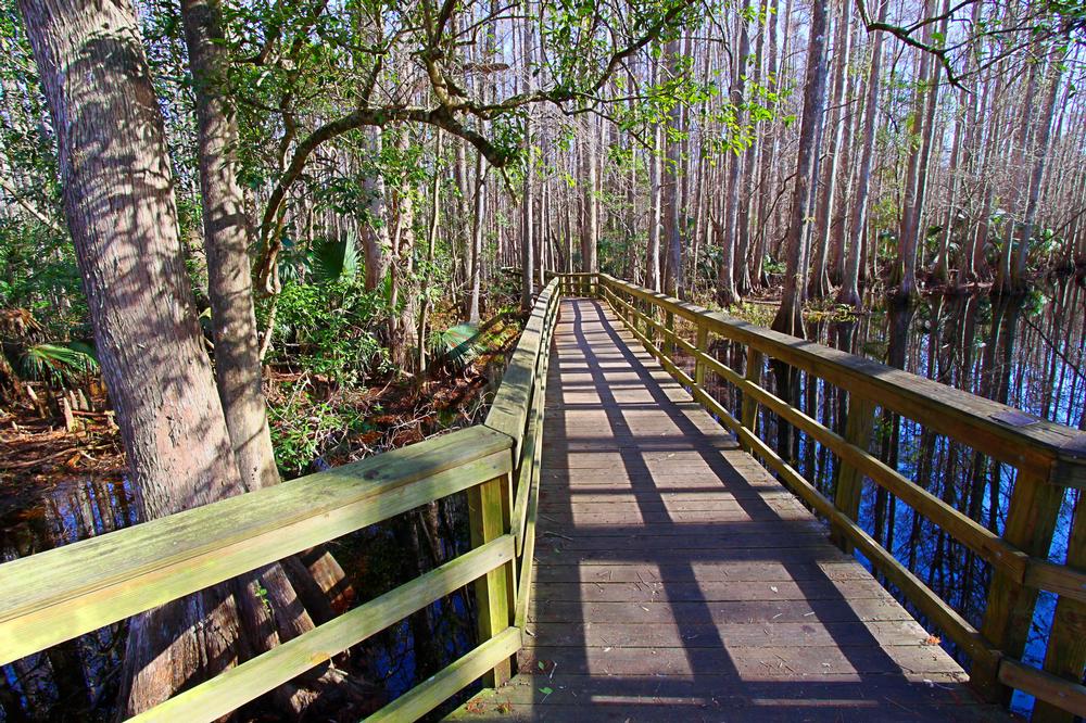 Relax and Recharge in Sebring with Lakeside Walks and Scenic Drives