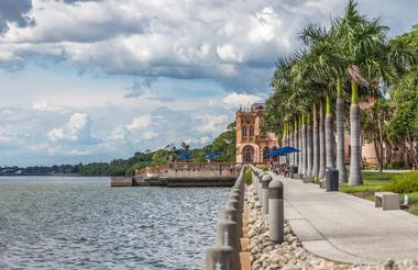 The Promenade and Millennium Tree Trail