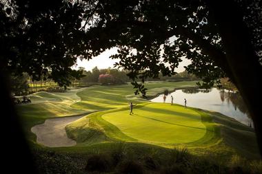 Golf Academy