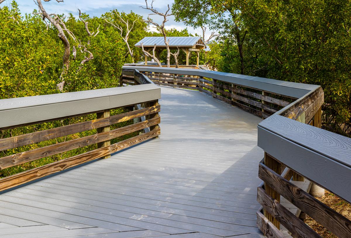 Boardwalk Through Mangrove Forest at Anne's Beach, Islamorada