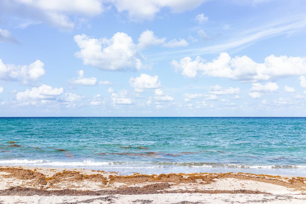 Waves of the Atlantic Ocean